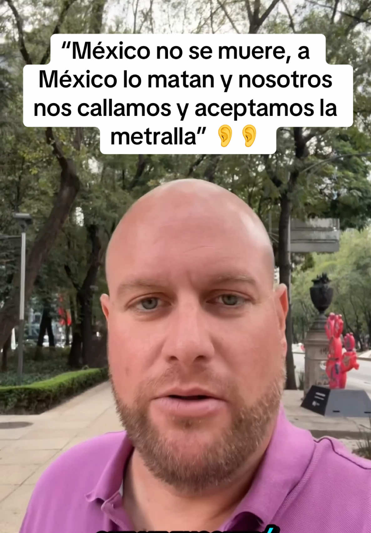 @Alberto Razo el pelon