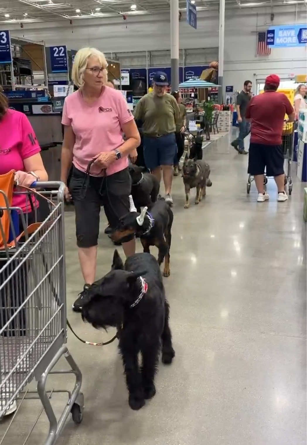 @Protection Dog Sales