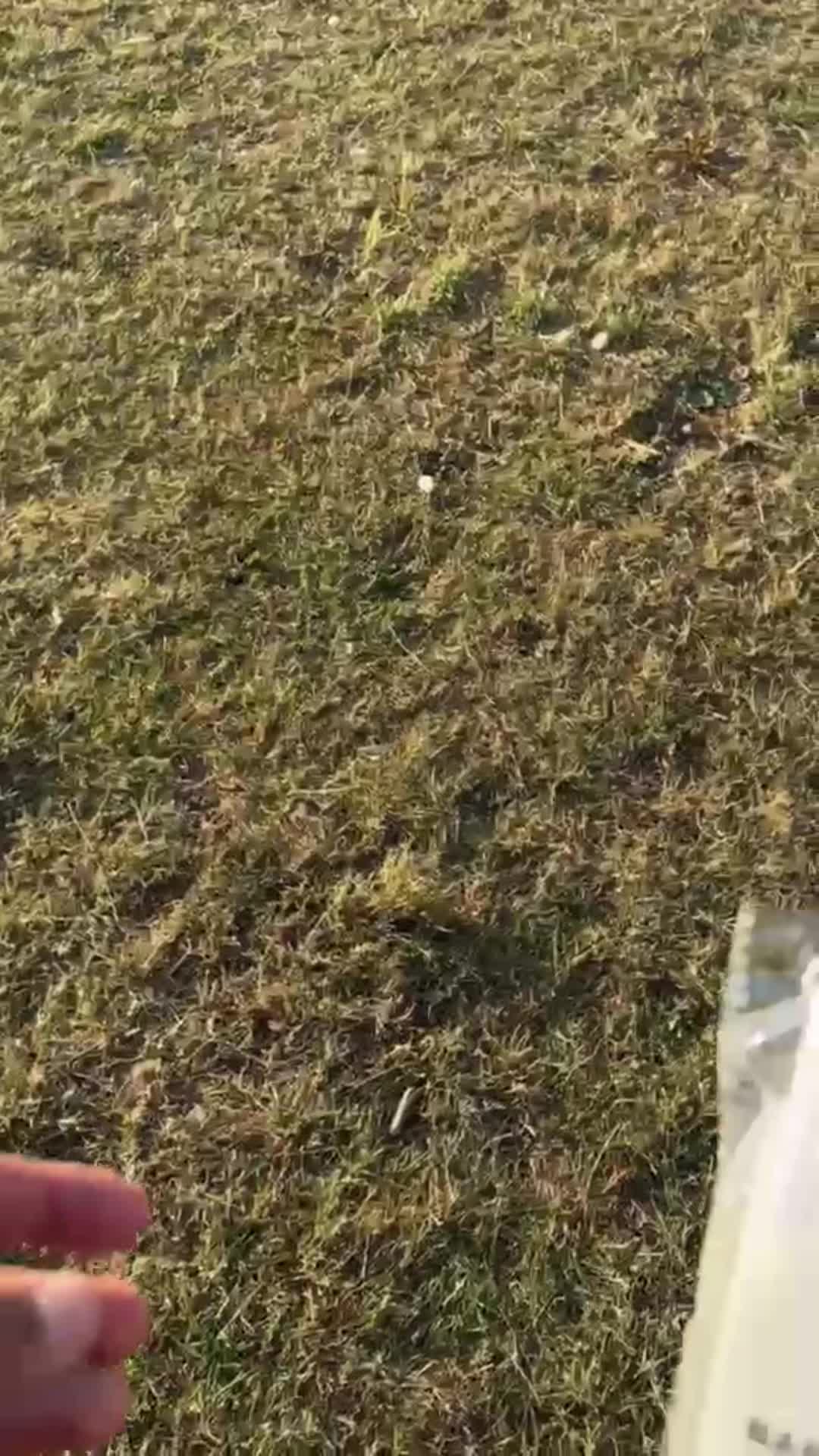 @8
