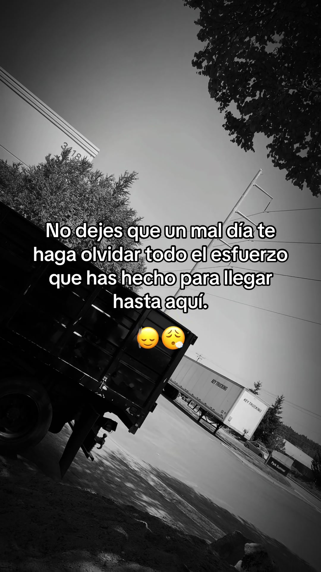 @Lobo Solitario ๐บ๐บ