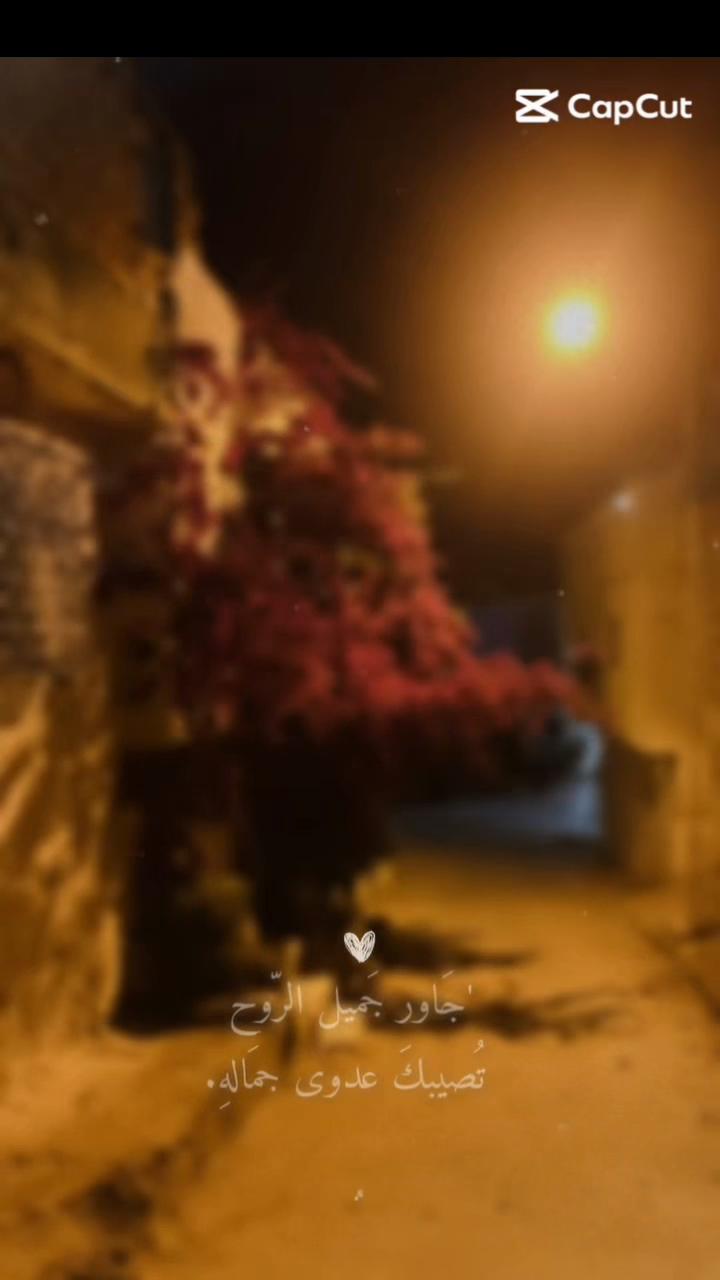 @souhaaasoo