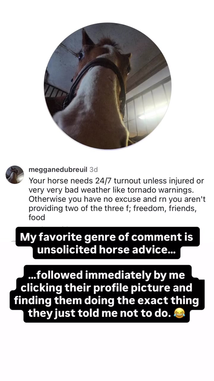 @Lacy & Shooter the OTTB