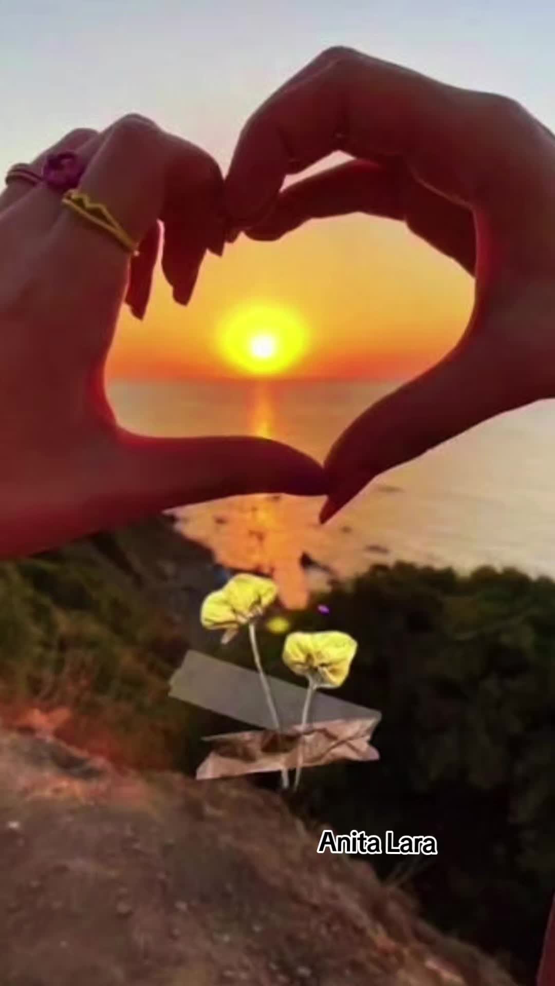 @Anita Lara