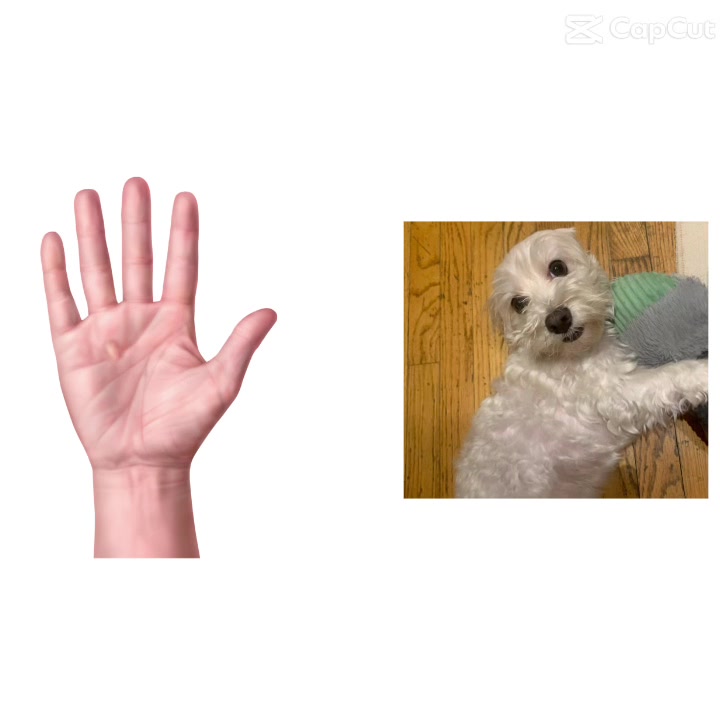 @☆౨ৎ⋆𝚓𝙰𝚉𝙼𝙸𝙽𝙴࣭⭑ֶָ֢❀☆ﾟ