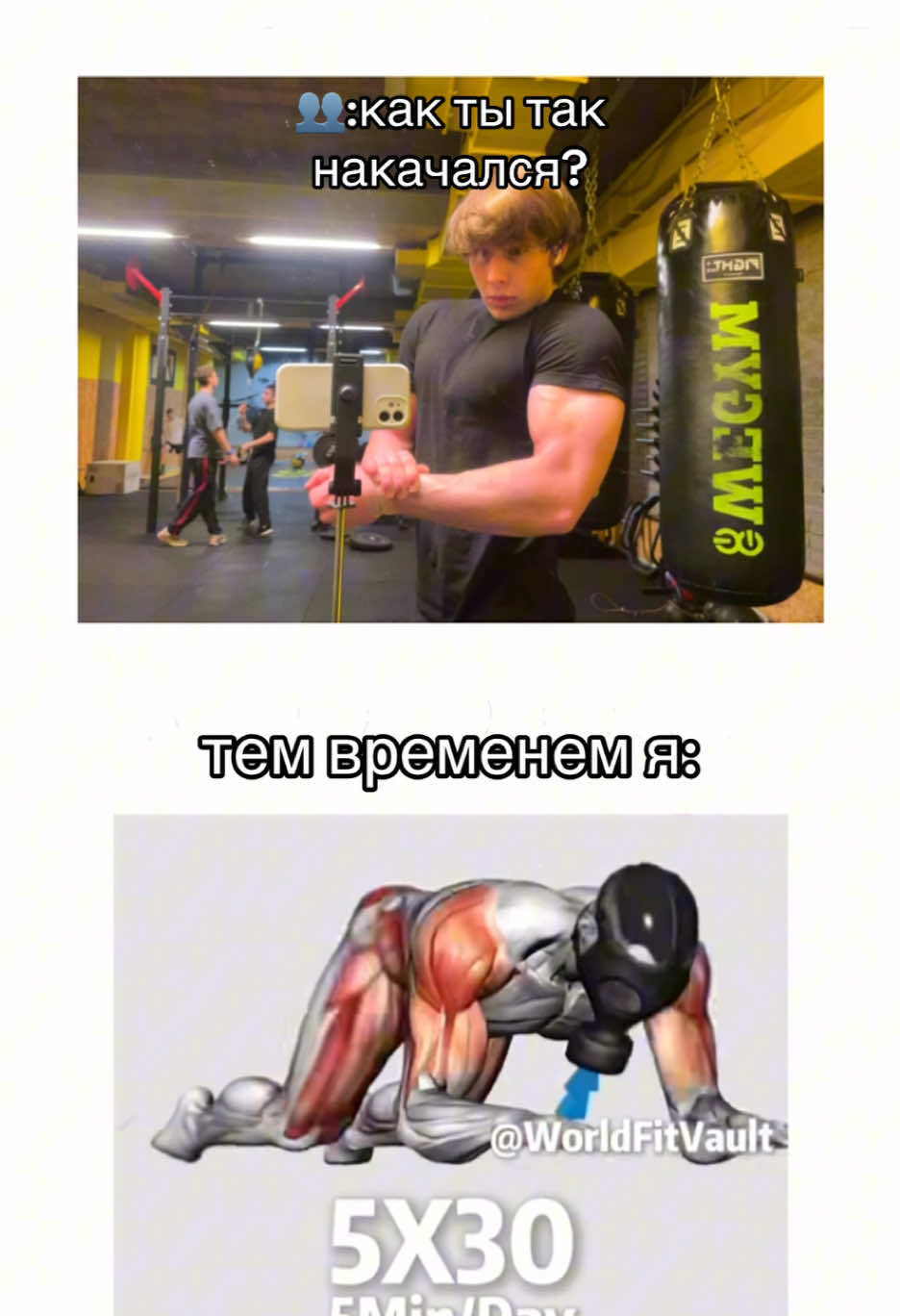 @тгк: wegym21