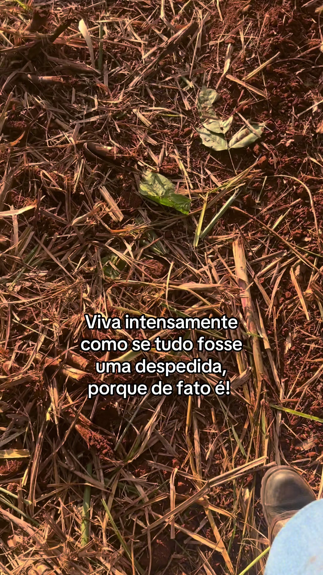 @Pamela Nascimento