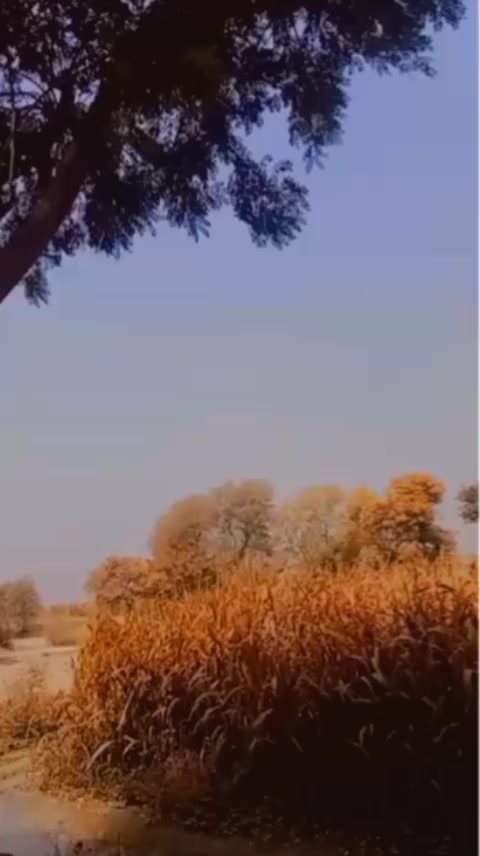 @Malik alyas Khakhi 👑🥰🤔