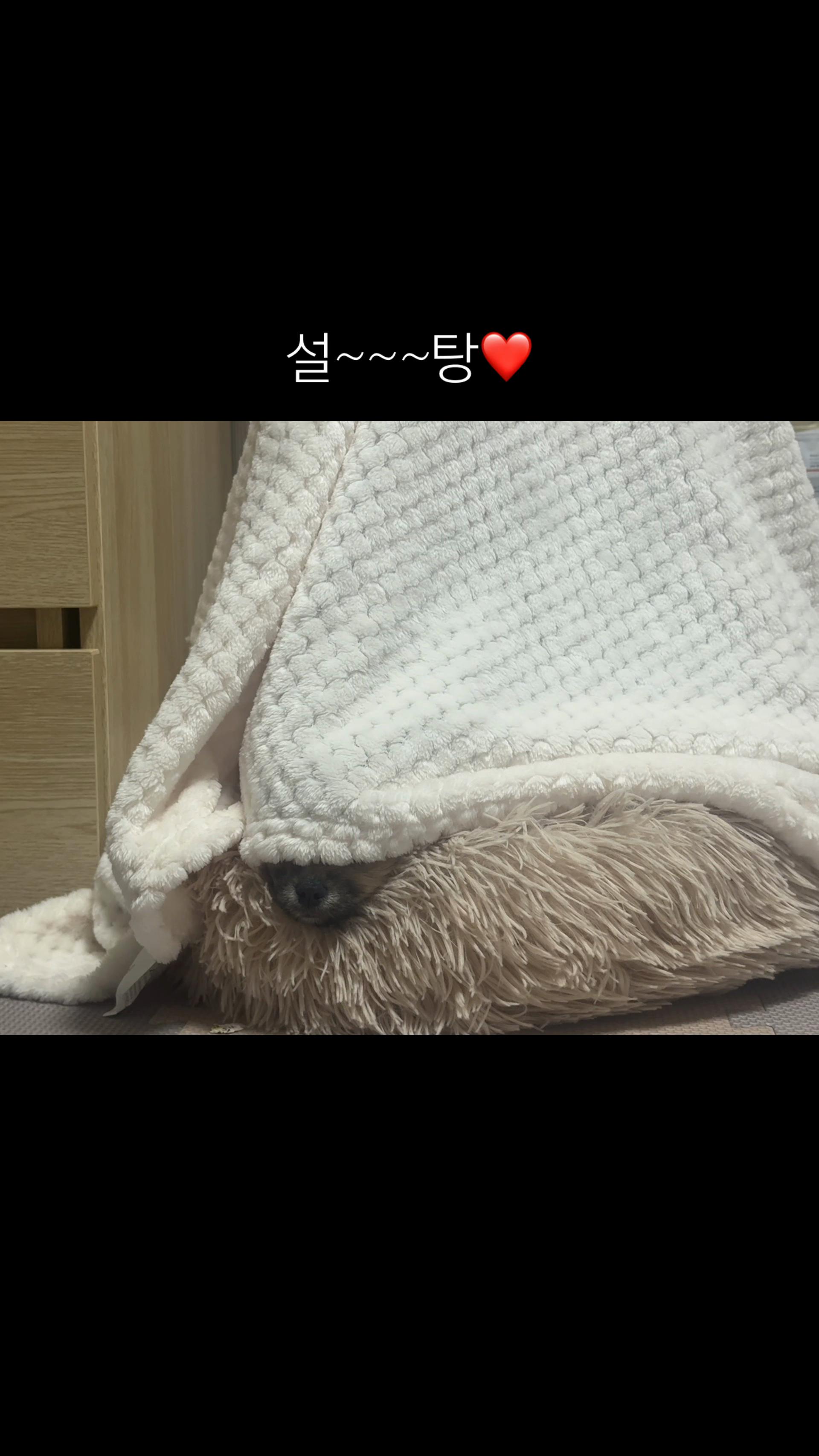 @꒰ঌ세링໒꒱