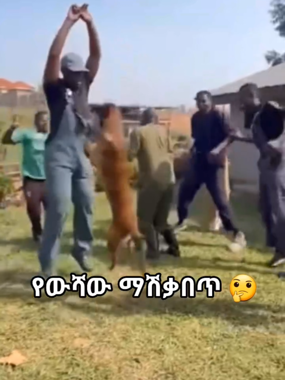 @Amazing ይገርማል✅