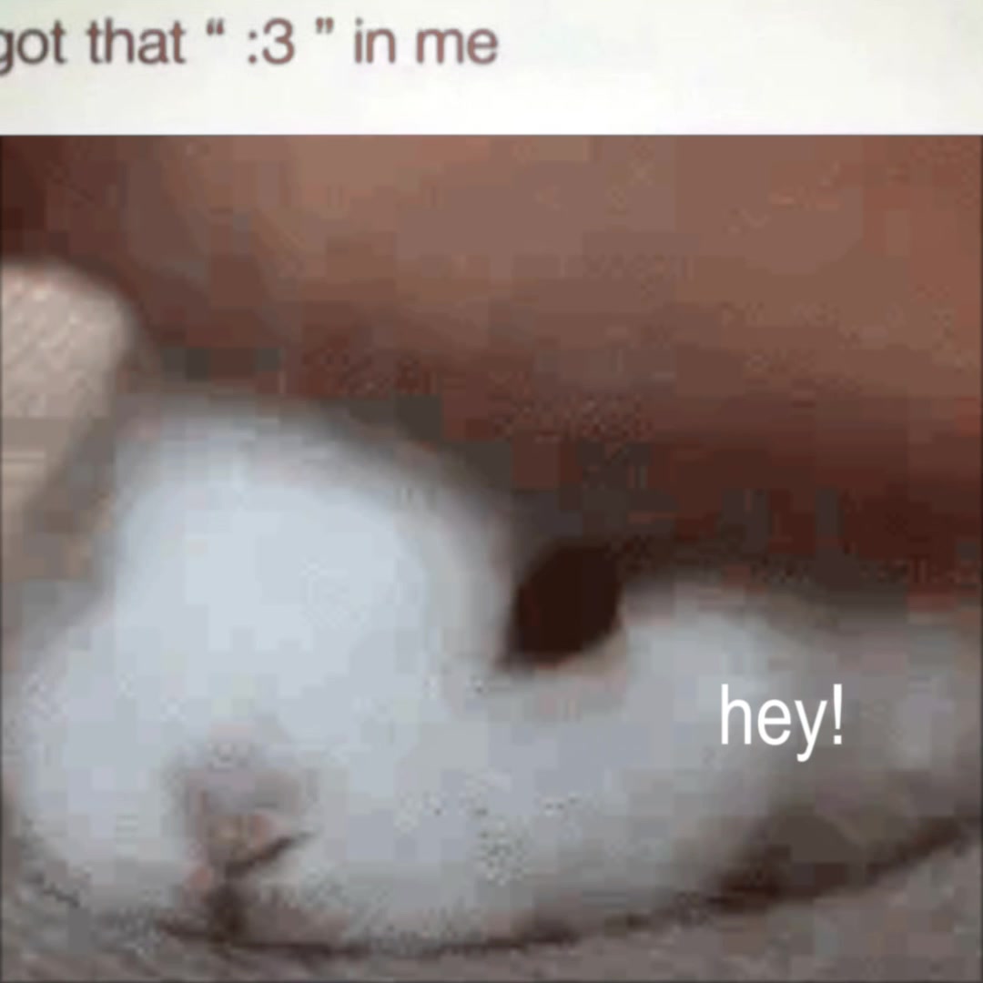 @𝓂𝒾𝓈𝒽𝓎 ֶָ֢.