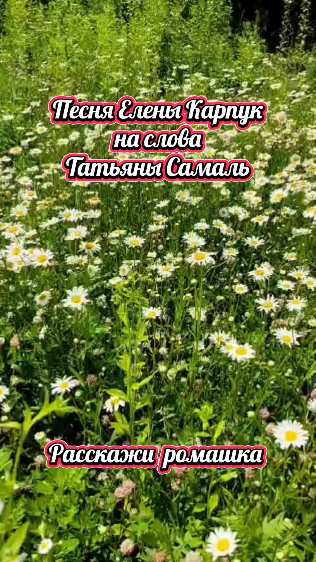 @Галина