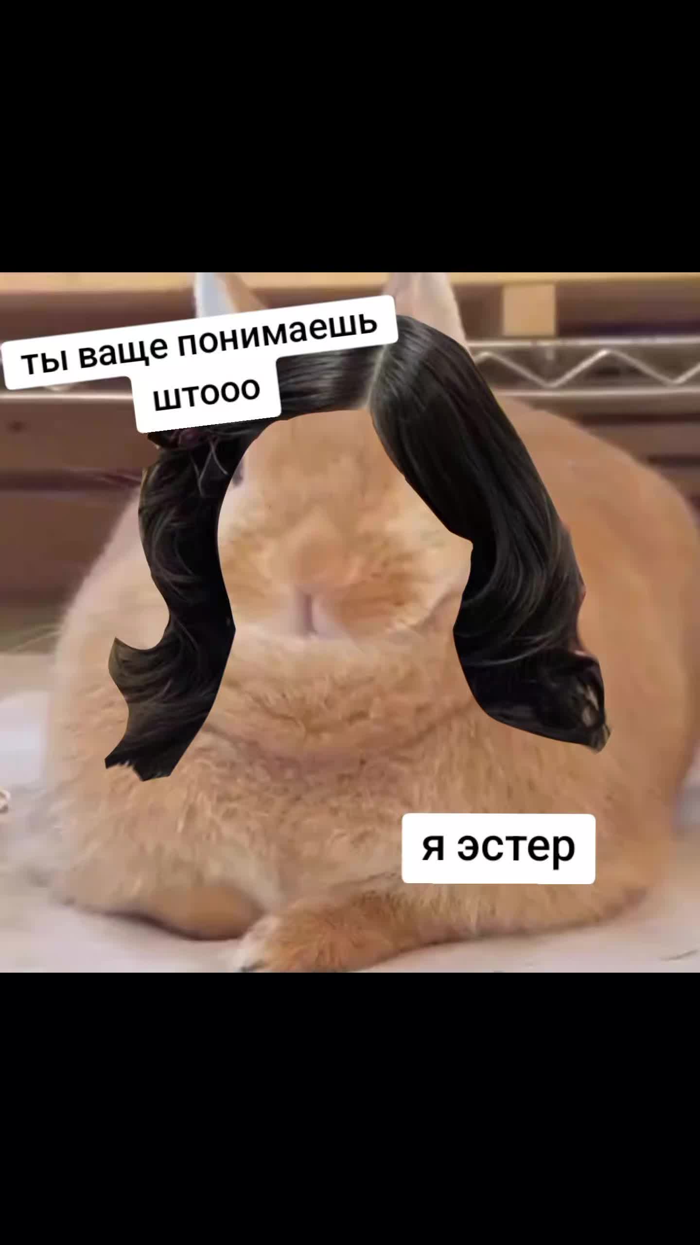 @⌗креветон