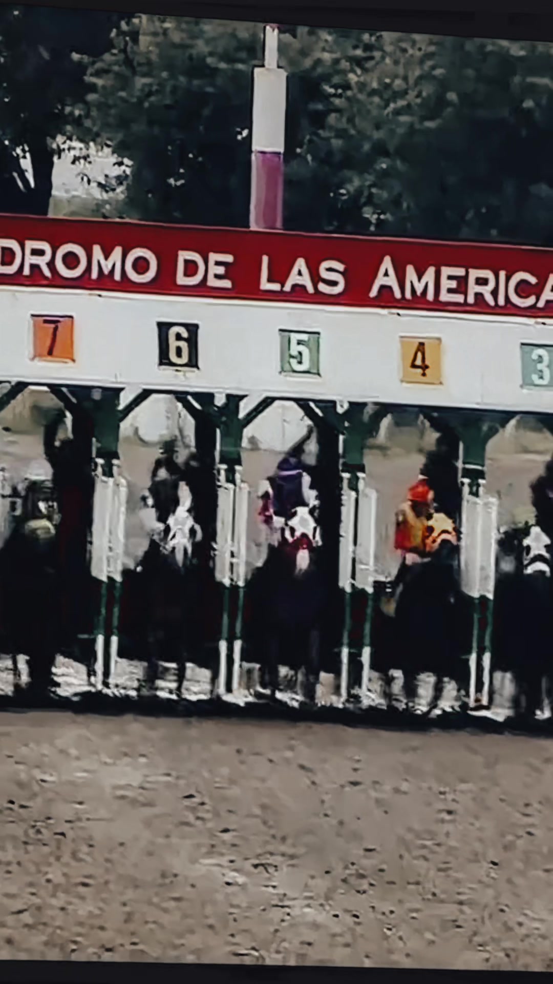@Cuadra el Tigre