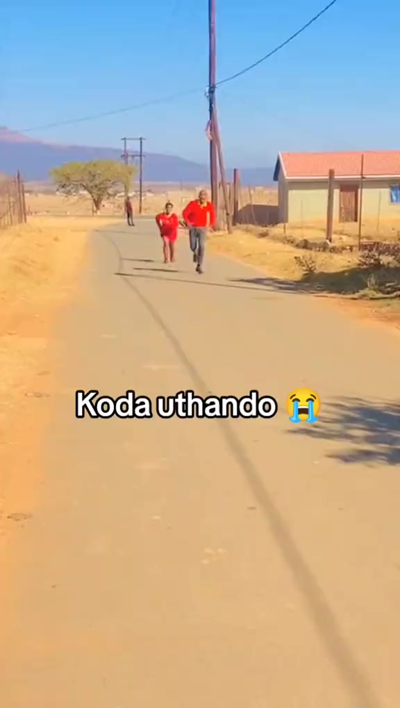 @qisteam3