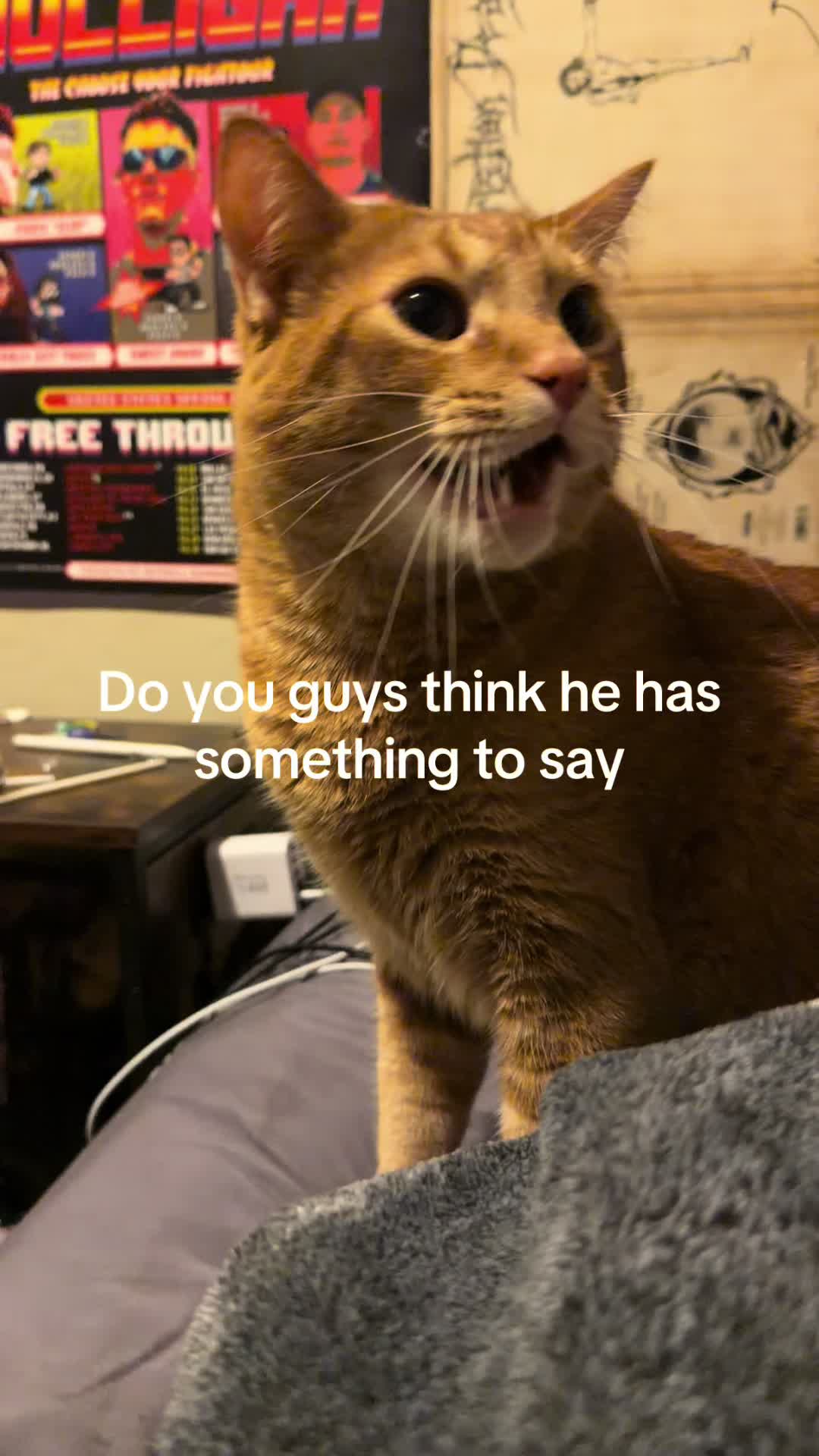 @alexzoggas