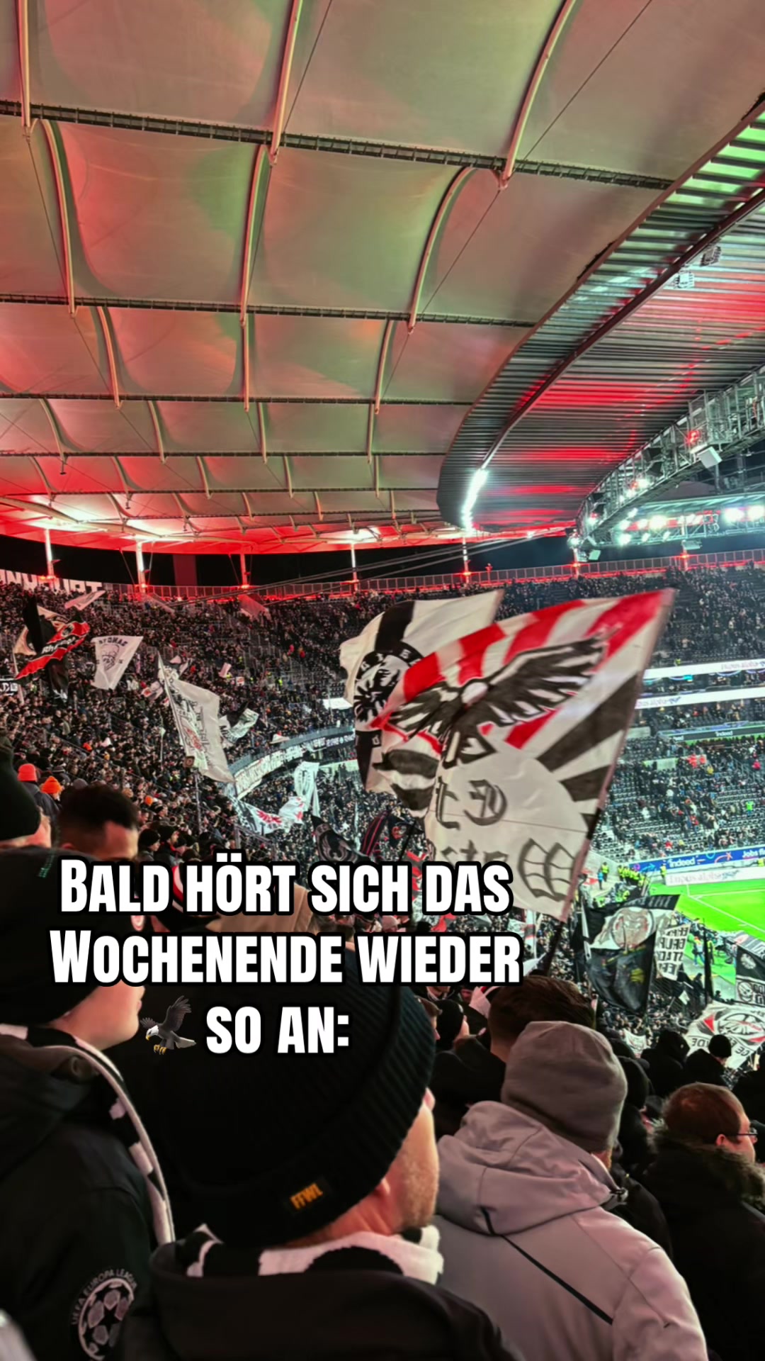 @sophie 🦅