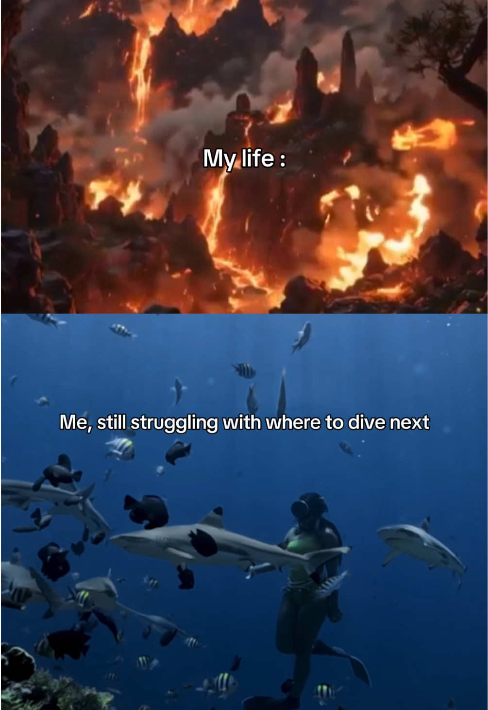 @Yuki | Diving & Traveling