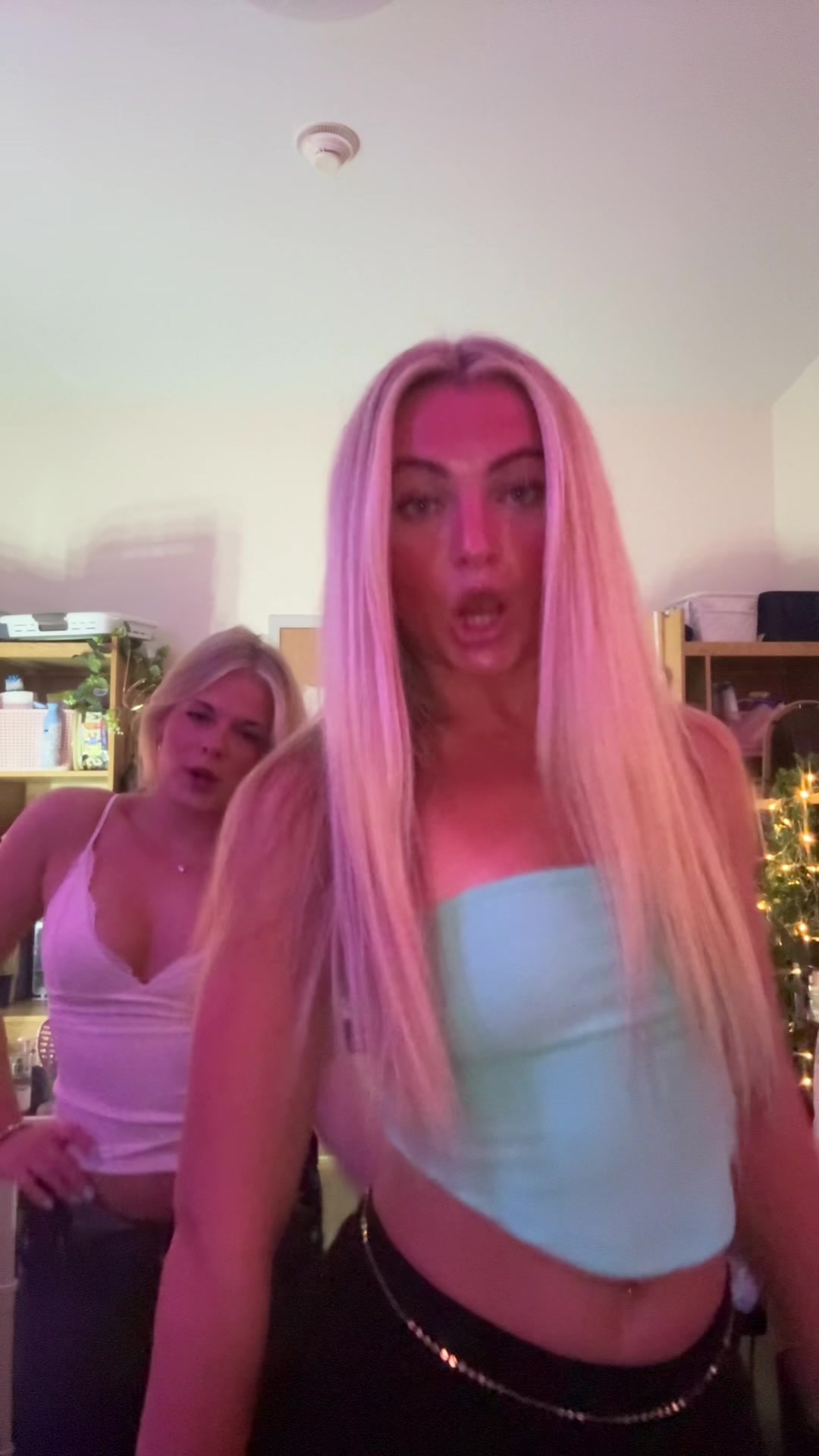 @bellabbyboo