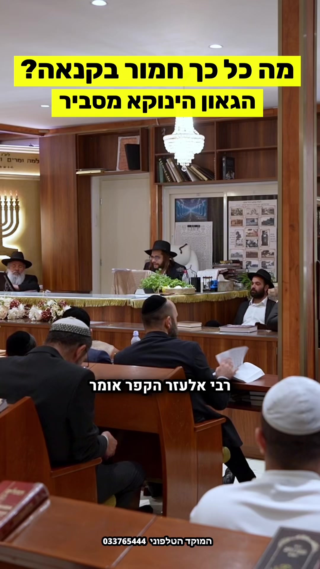 @הינוקא העמוד הרישמי