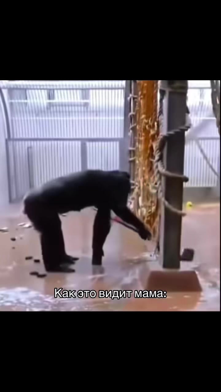 @d