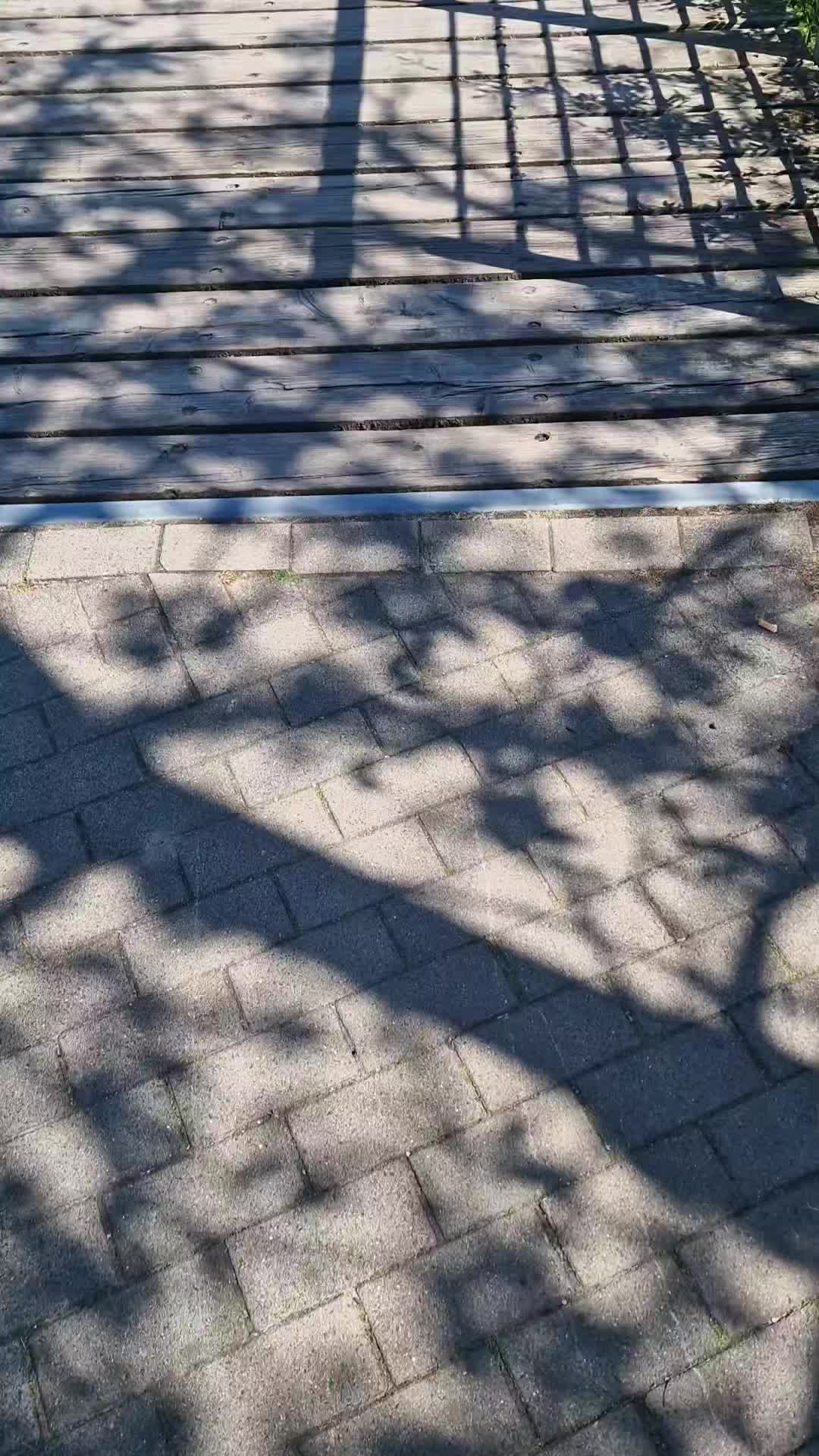@Rügen Live