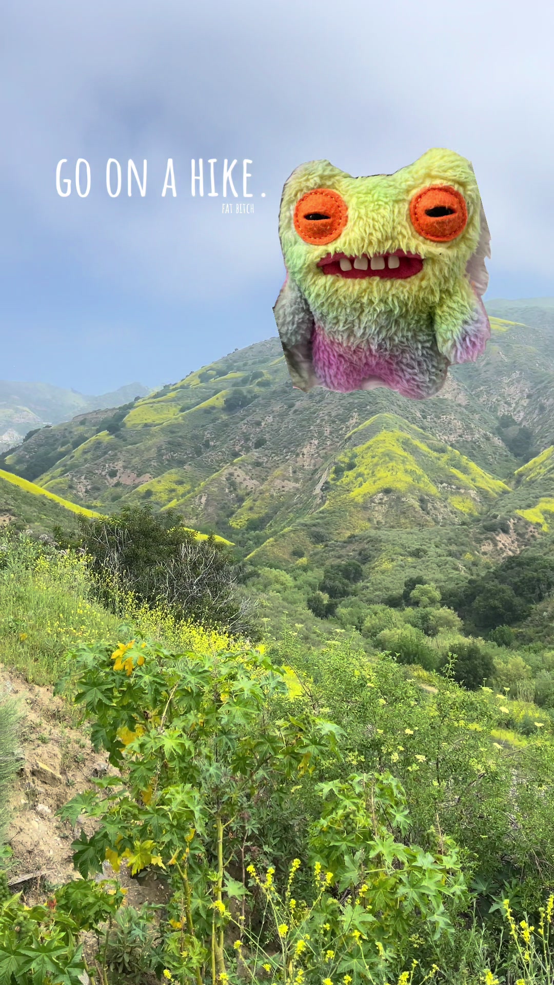@bipibipib