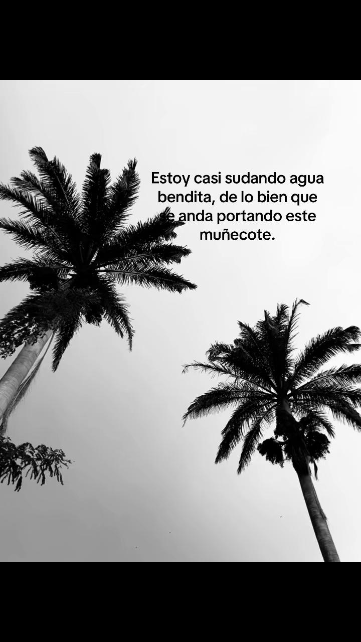 @XEM🪽