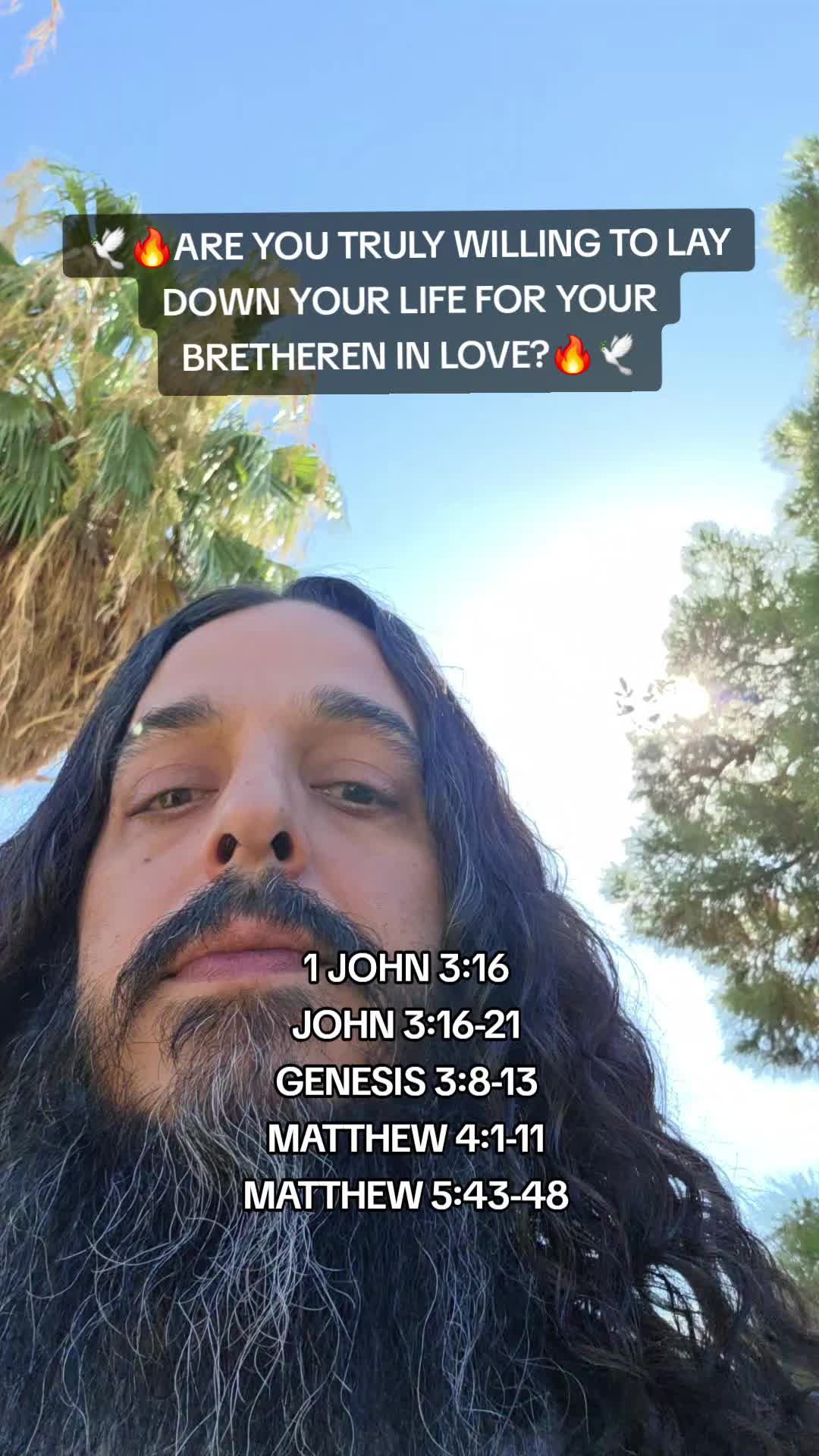 @Light of the Ascension