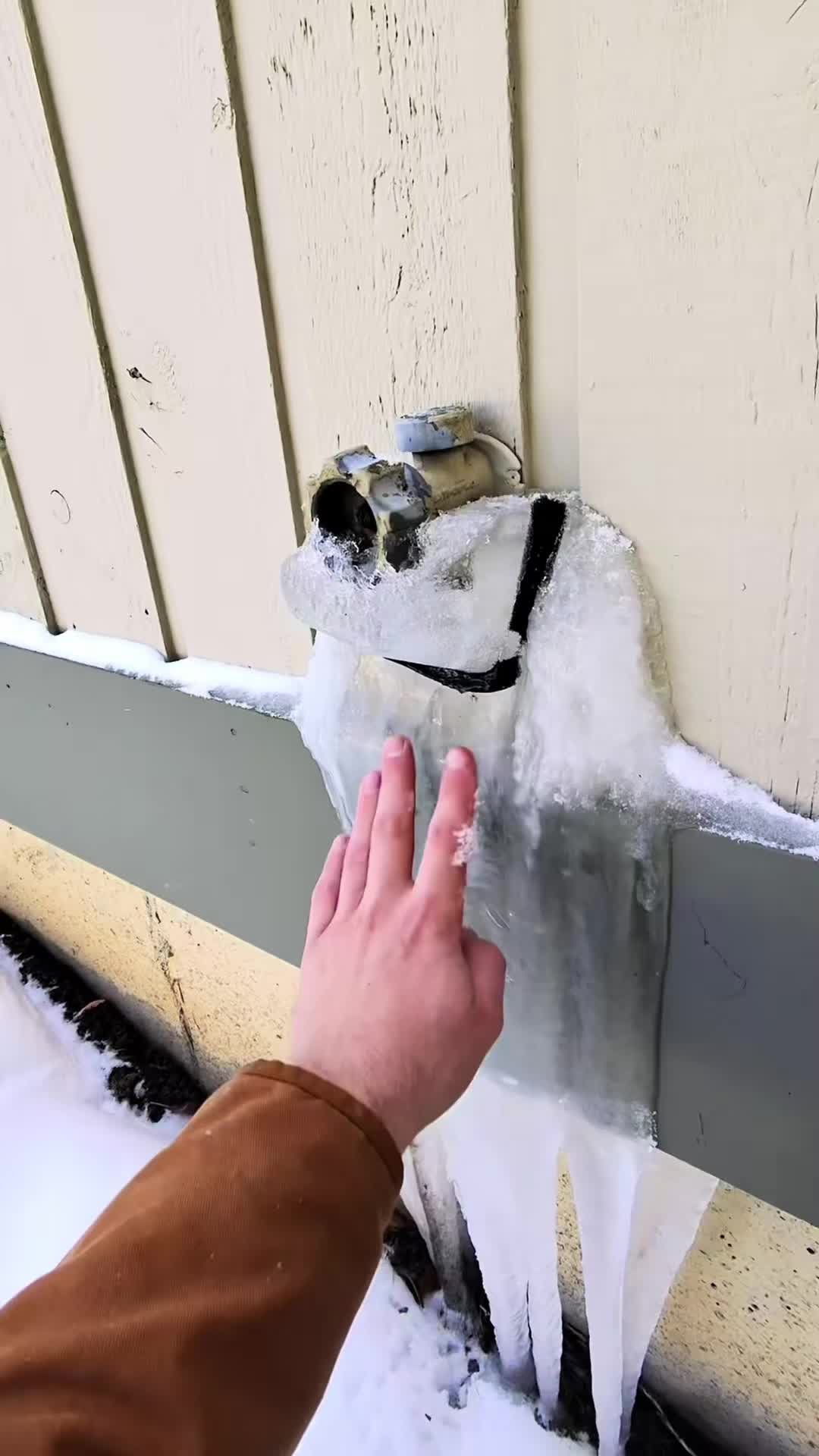 @The Conservative Plumber