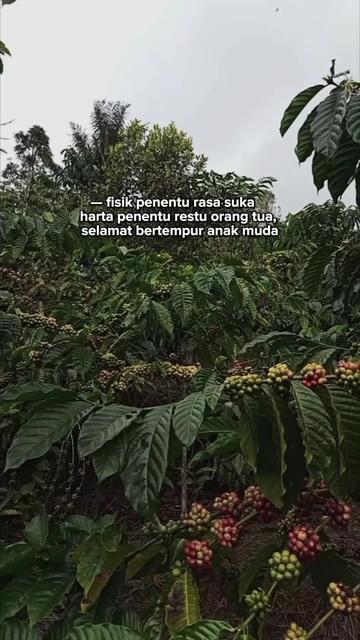 @PetaniMuda