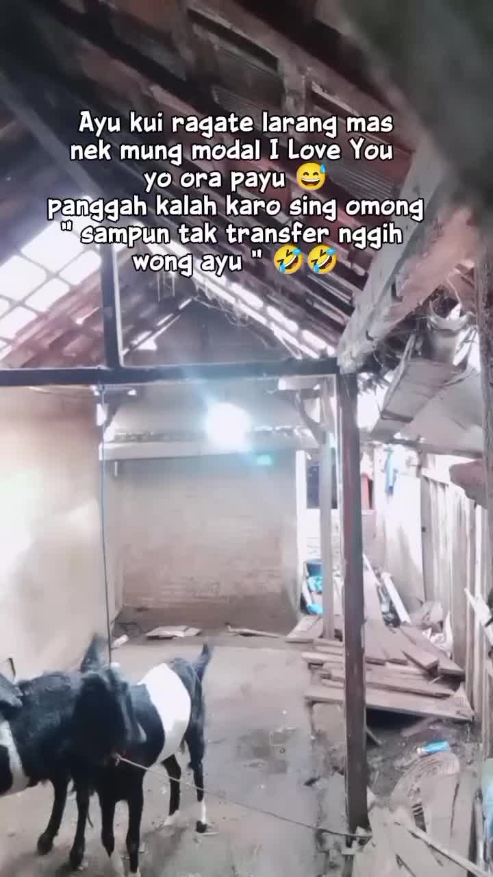 @mama kaila