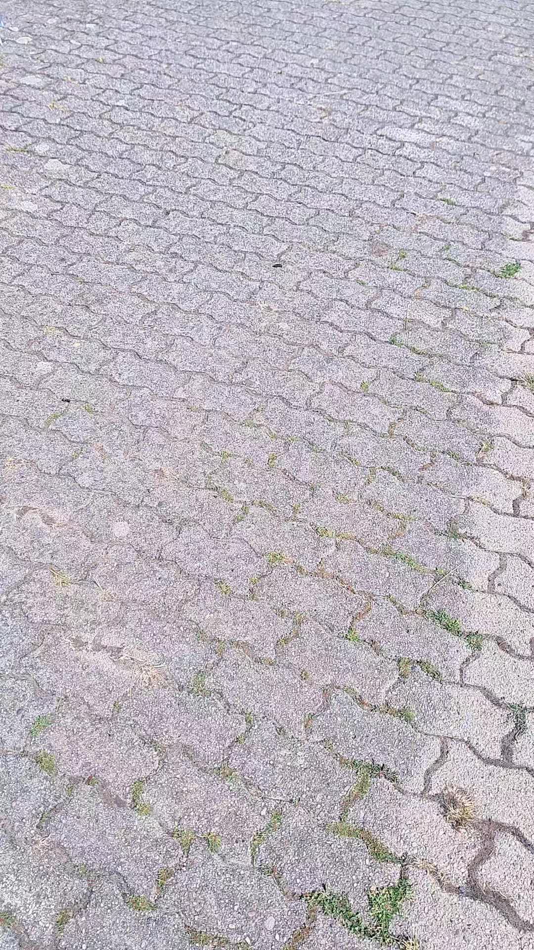 @Matthis_S51