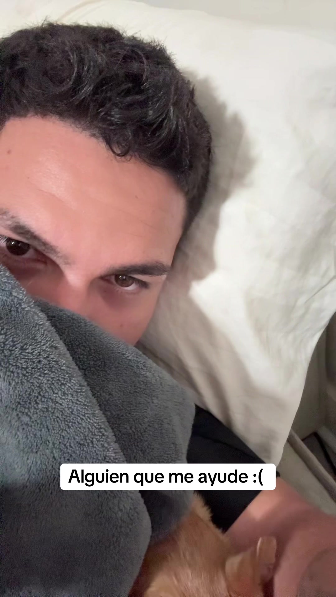@Alexander Iraheta