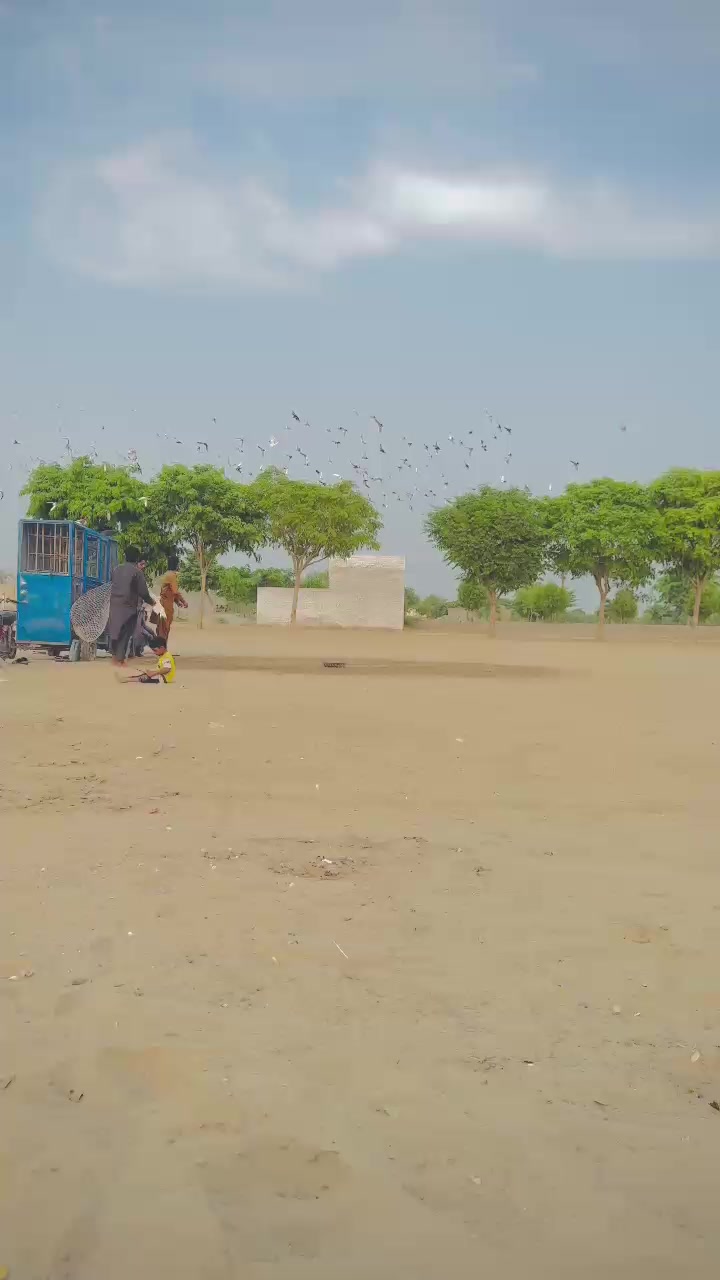 @عدیل رحمن لیہ وال کبوتر باز