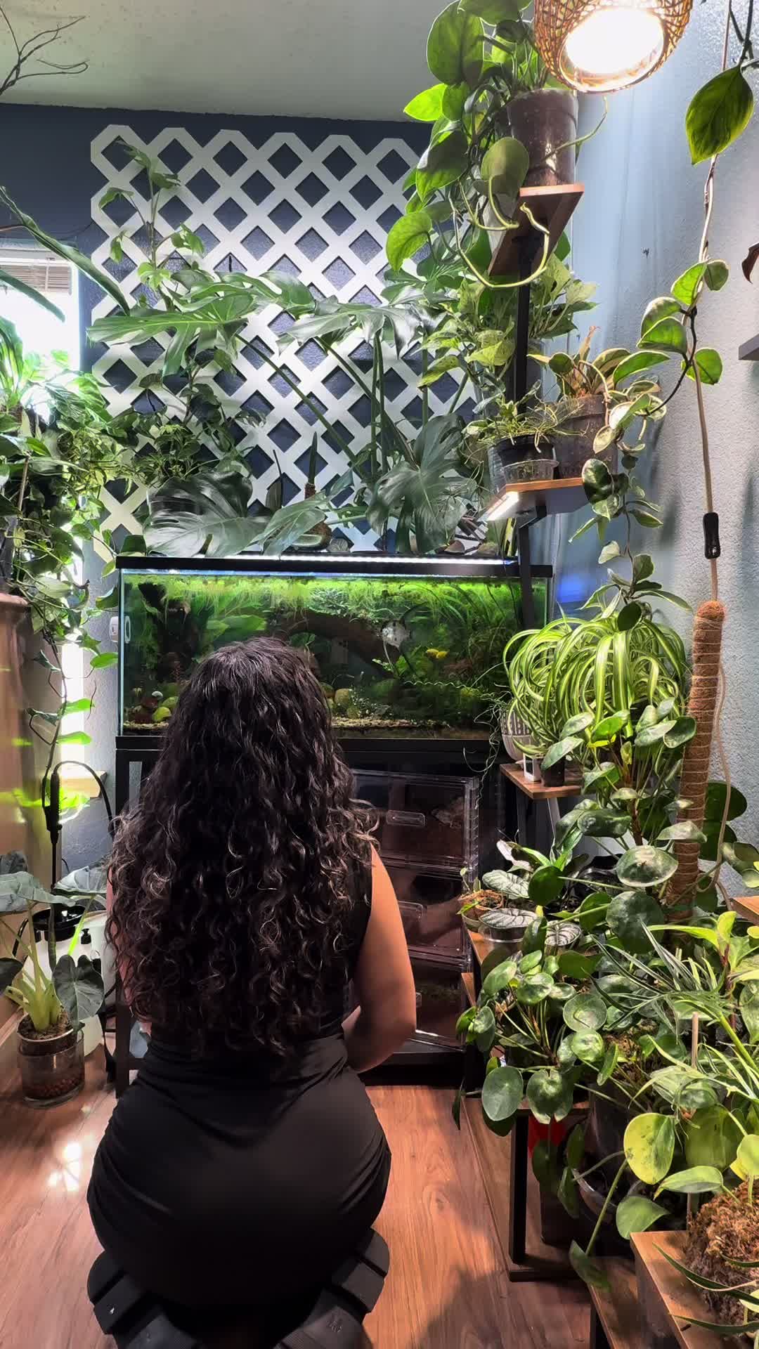 @dannys_fish_and_plants