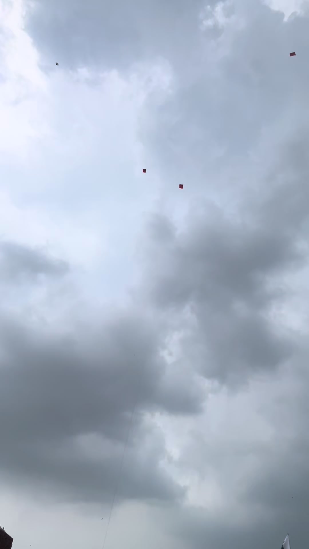 @Kite lover 🪁