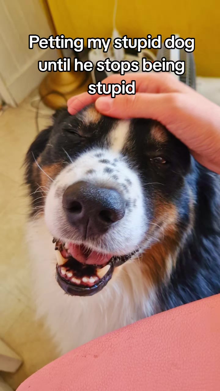 @Lofi the Aussie