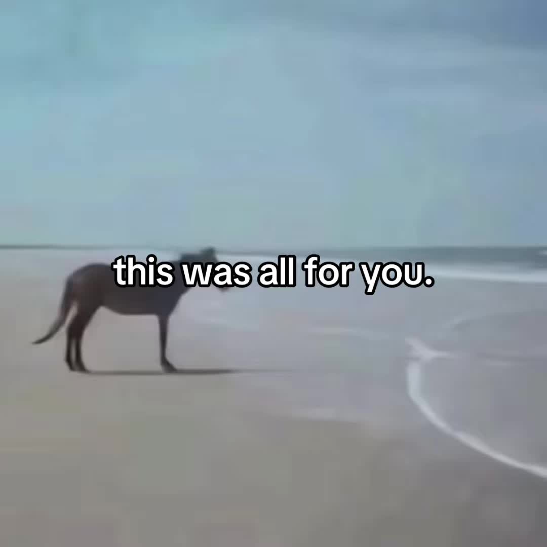 @emma g