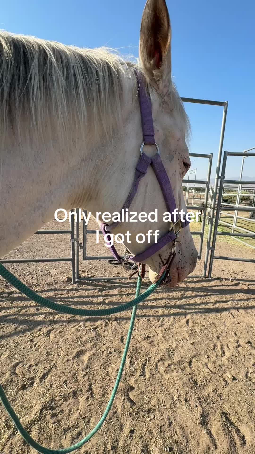 @makaylaCh_