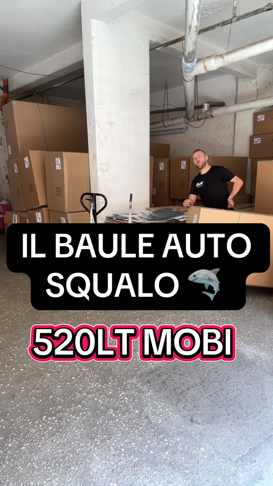 @Raicar accessori auto