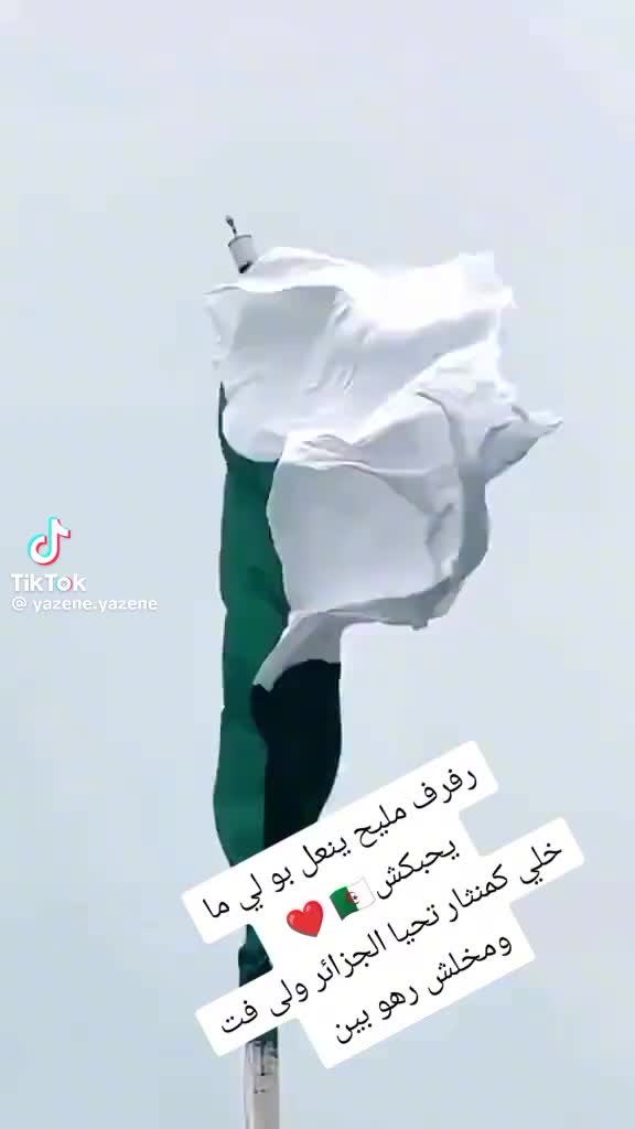 @karim75DZ