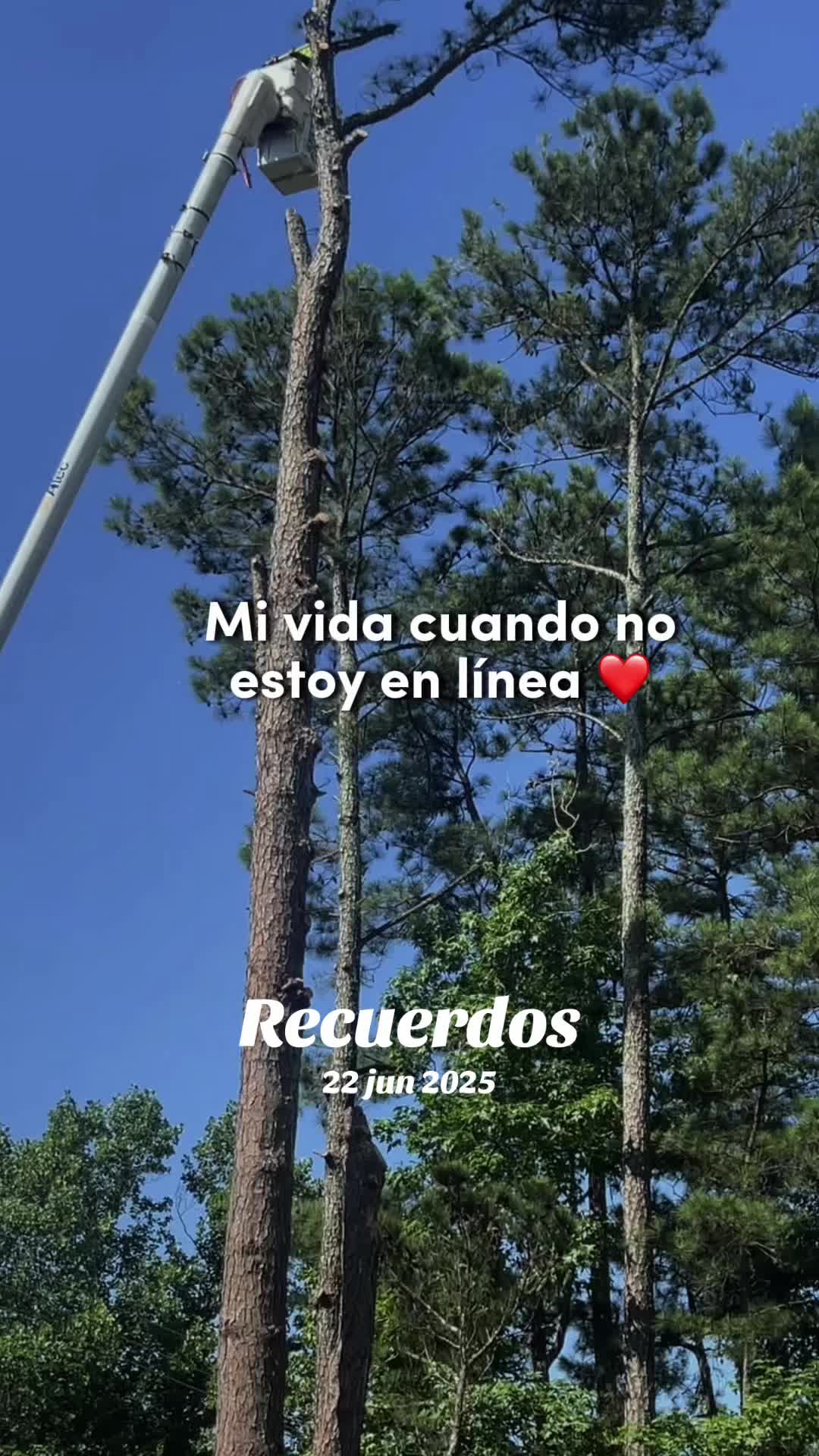 @🃏Julio Hernández🃏