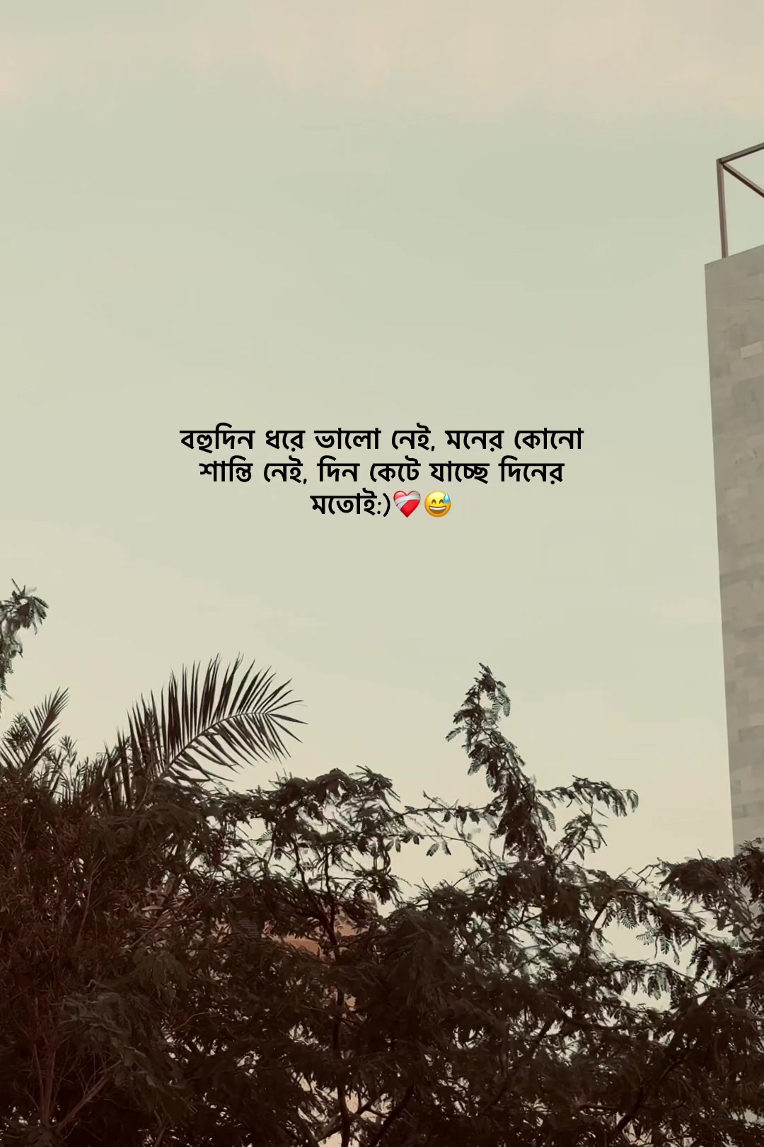 @𝐒𝐈 𝐘 𝐀𝐌 