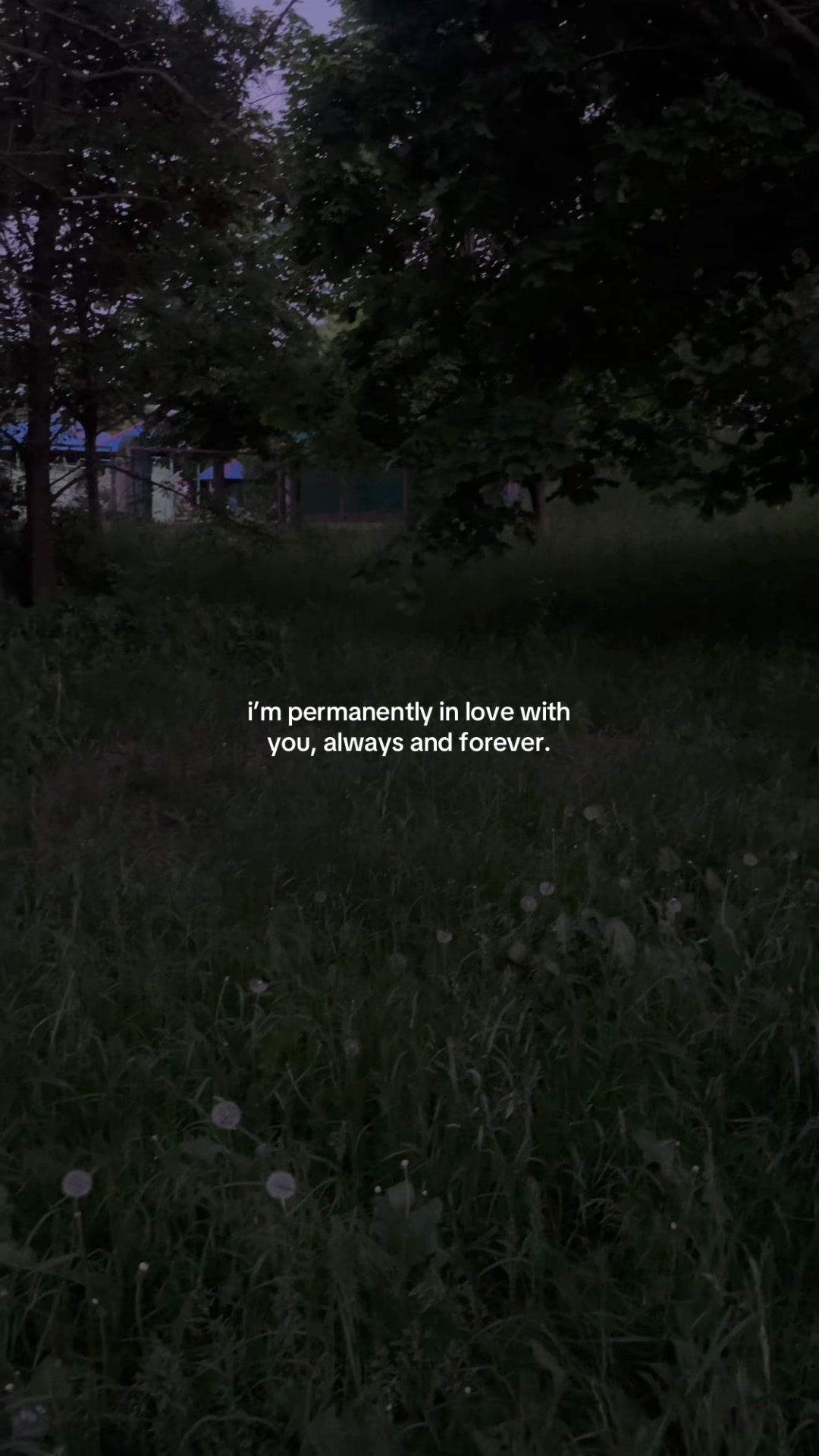 @solitude