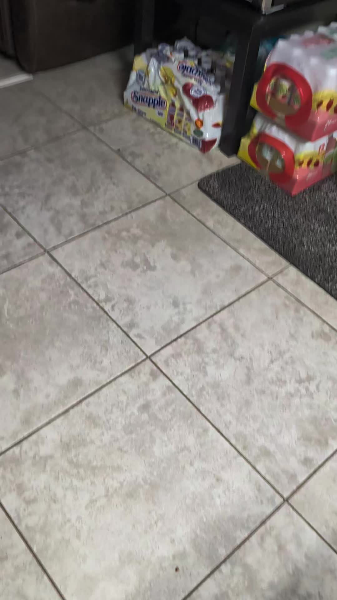 @smol_bean