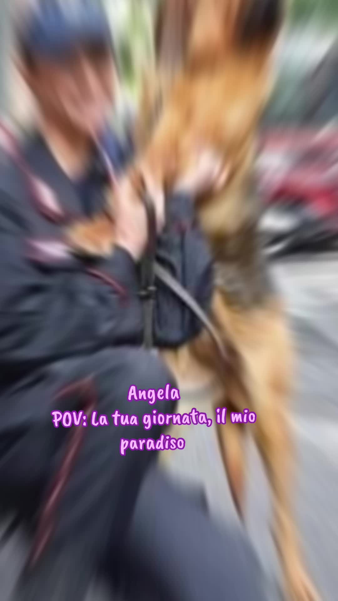 @Angela Raffaella Log