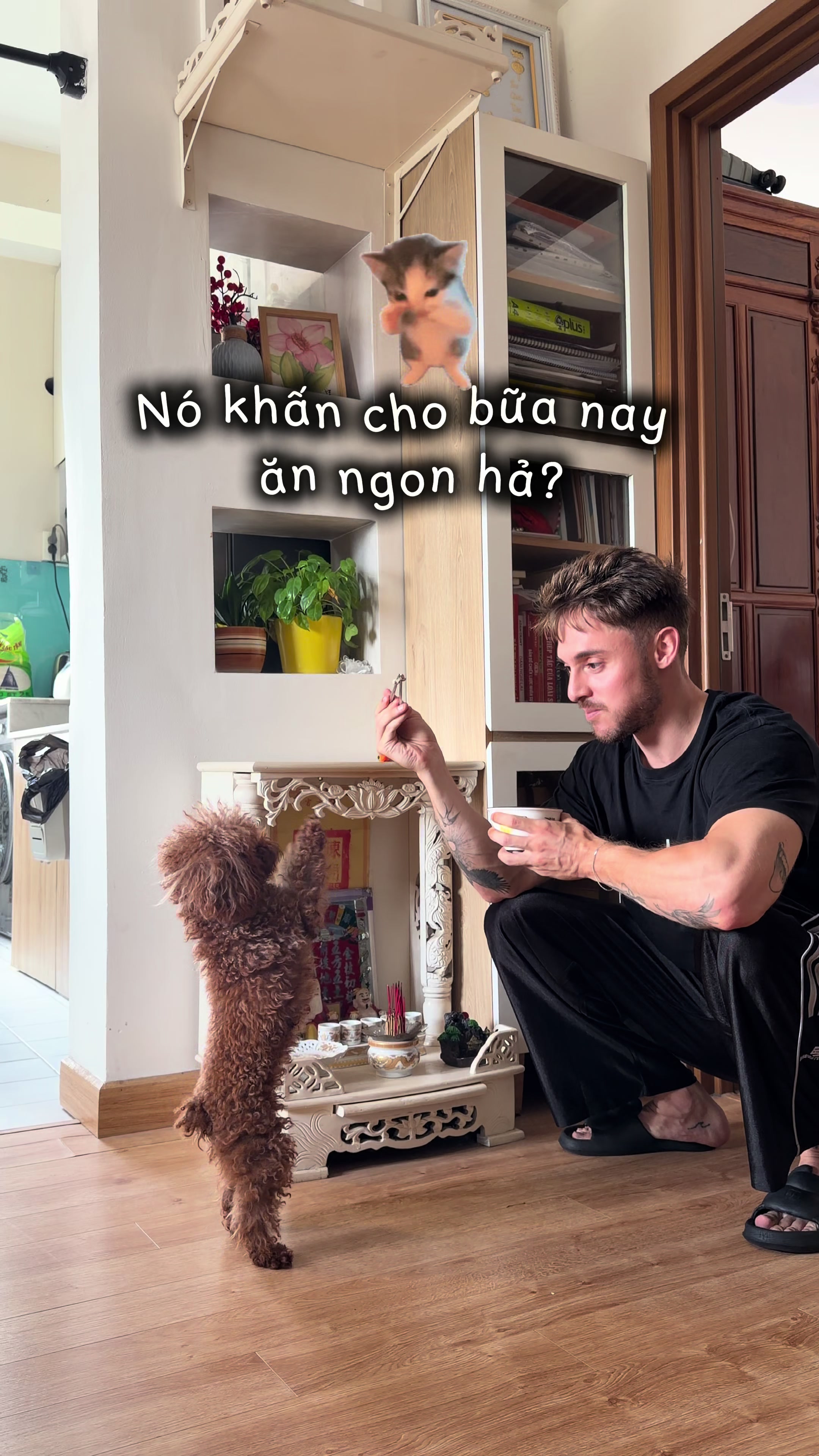 @PhởnaticĐức