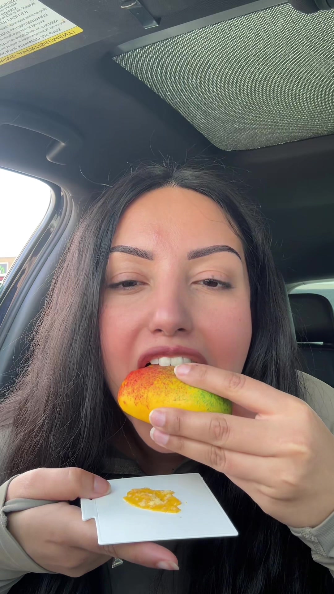 @Sara Soroor