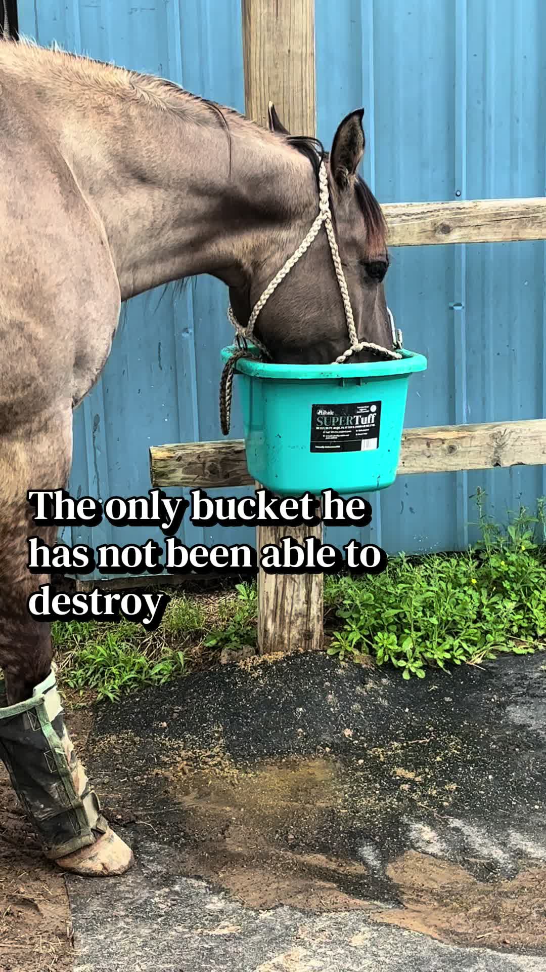 @Linda