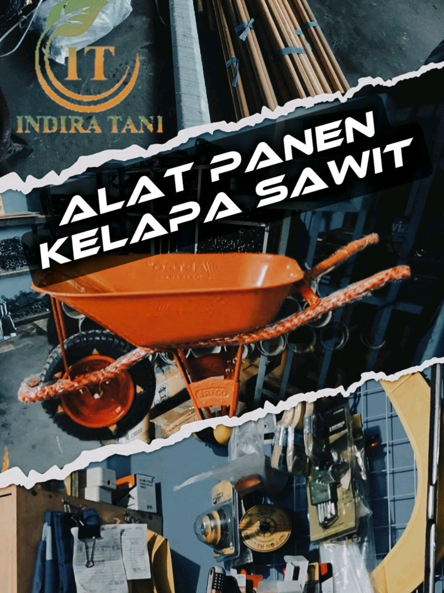 @Indira Tani Sampit